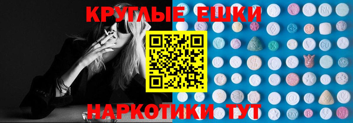 ЭКСТАЗИ бентли Гай