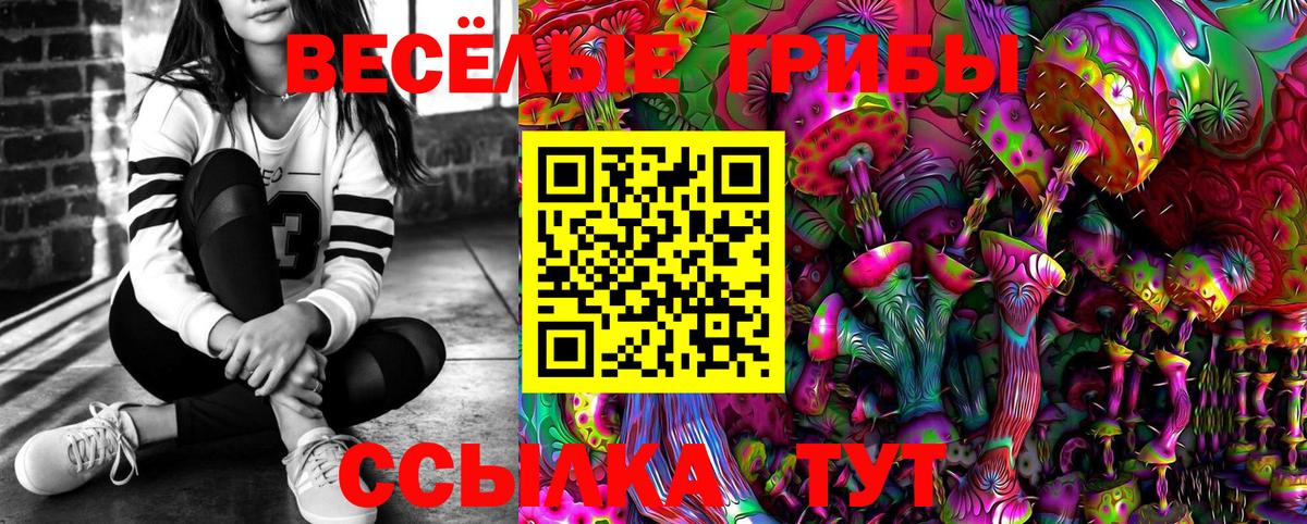 Галлюциногенные грибы MAGIC MUSHROOMS Гай