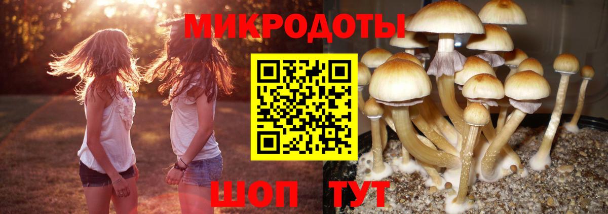 Гай  Псилоцибиновые грибы Magic Shrooms  Вход с VPN 