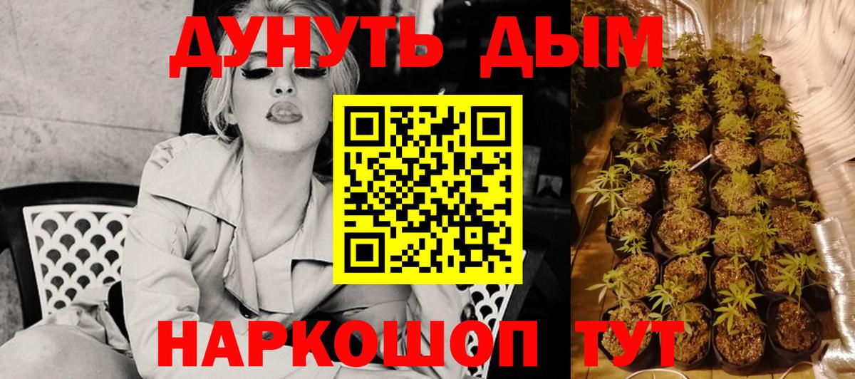 Конопля конопля  Канабис MAZAR  Вход с VPN  Гай  Канабис тримм  Шишки марихуана марихуана 